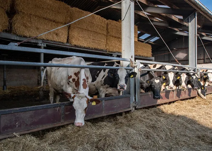 Hotelboerderij Akkerlust